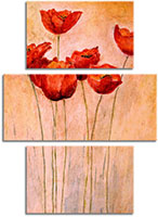 Tablou canvas 3 piese