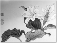Versiune: alb-negru