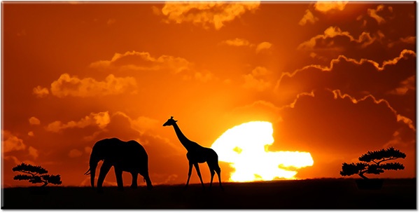 tablou canvas, africa, alte-peisaje, animale, animale-salbatice, cer, elefanti, galben, girafe, negru, nori, peisaje, portocaliu, siluete, soare
