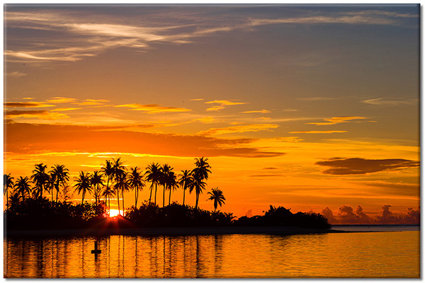 Tablou: Apus printre palmieri pe o insulă tropicală
