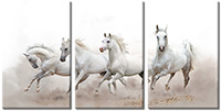 Tablou canvas 3 piese