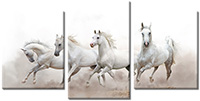 Tablou canvas 3 piese