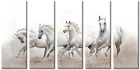 Tablou canvas 5 piese