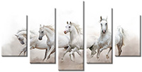 Tablou canvas 5 piese