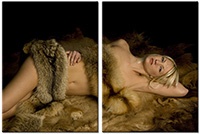 Tablou canvas 2 piese