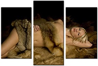 Tablou canvas 3 piese