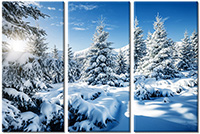 Tablou canvas 3 piese