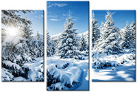 Tablou canvas 3 piese