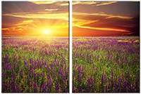 Tablou canvas 2 piese