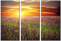 Tablou canvas 3 piese
