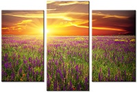 Tablou canvas 3 piese