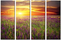 Tablou canvas 4 piese