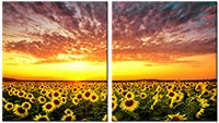 Tablou canvas 2 piese