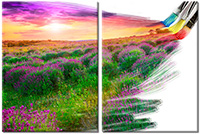 Tablou canvas 2 piese