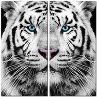 Tablou canvas 2 piese