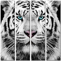 Tablou canvas 4 piese