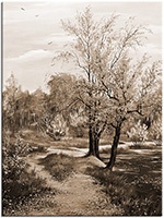 Versiune: sepia