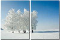 Tablou canvas 2 piese