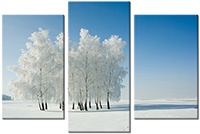 Tablou canvas 3 piese