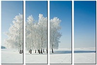 Tablou canvas 4 piese