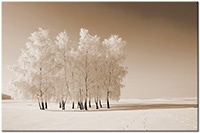 Versiune: sepia
