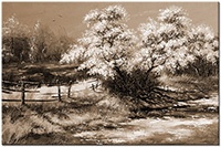 Versiune: sepia