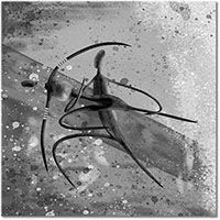 Versiune: alb-negru