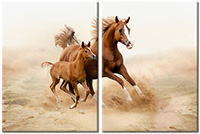 Tablou canvas 2 piese