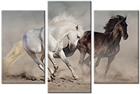 Tablou canvas 3 piese