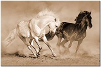 Versiune: sepia