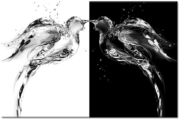 Tablou: Două păsări de apa simetrie alb negru