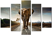 Tablou canvas 5 piese