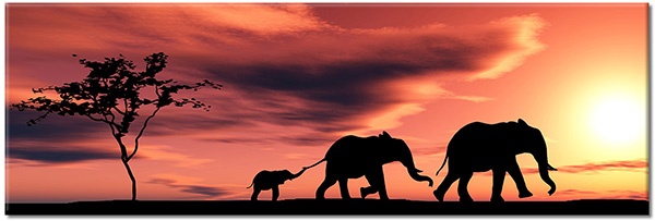tablou canvas, africa, alb, alte-peisaje, animale, animale-salbatice, copaci, elefanti, galben, negru, peisaje, portocaliu, rosu, siluete, soare, violet