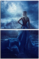 Tablou canvas 2 piese