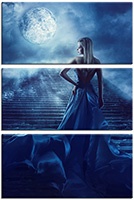 Tablou canvas 3 piese