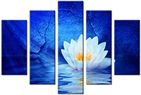 Tablou canvas 5 piese