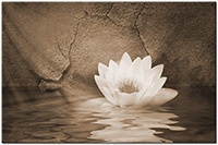Versiune: sepia