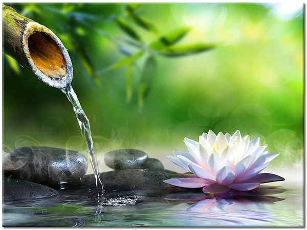 Tablou: Floare de lotus și apă din bambus