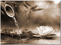 Versiune: sepia