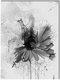 Versiune: alb-negru