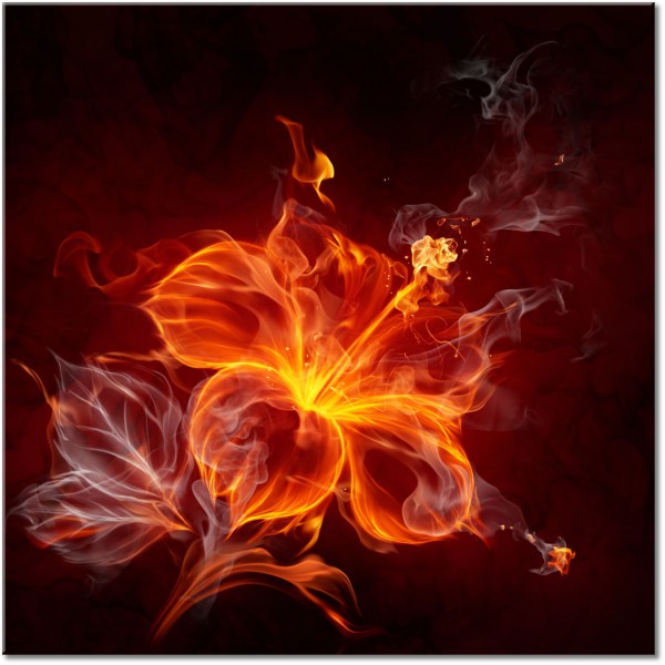 Tablou canvas: Floare de foc