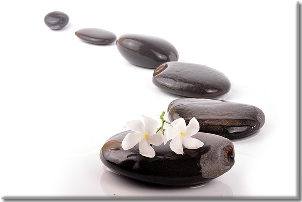 Tablou: Flori albe pe cale de pietre zen