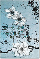 Versiune: cyan