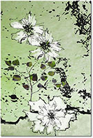 Versiune: verde