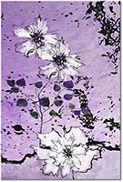 Versiune: violet