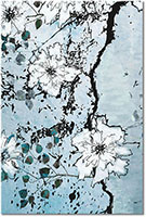 Versiune: cyan