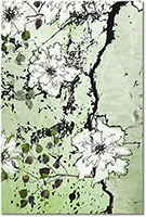 Versiune: verde