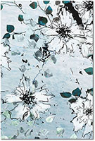 Versiune: cyan