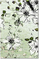 Versiune: verde