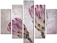 Tablou canvas 5 piese